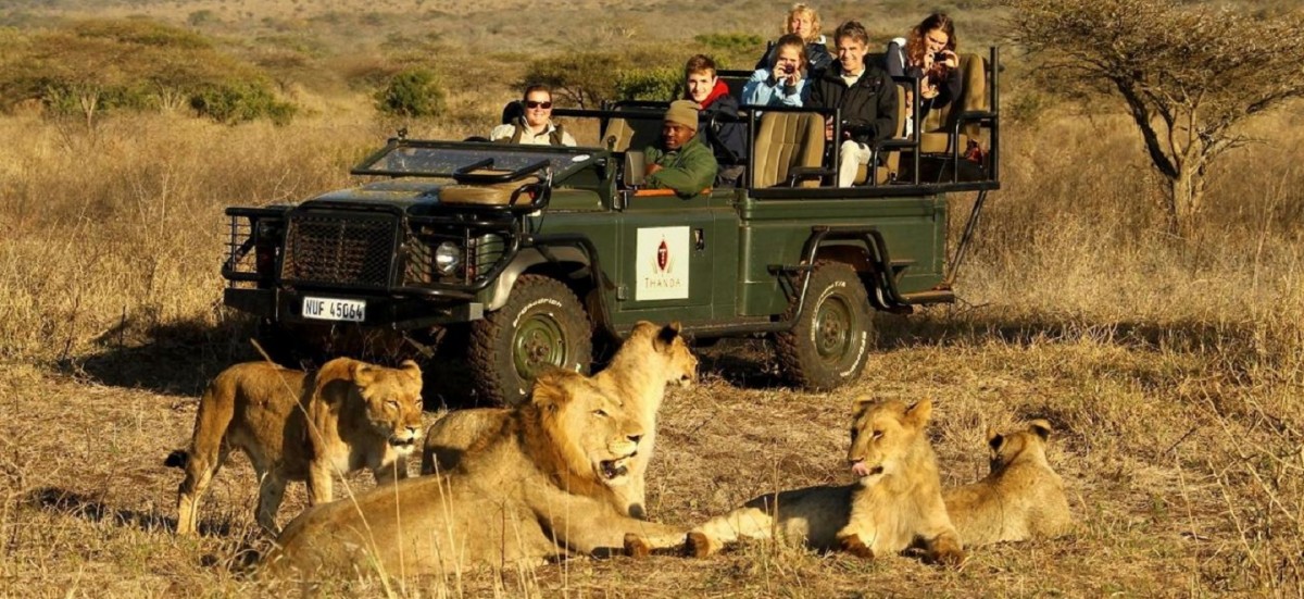 A sneak peek into Africa's KwaZulu-Natal through a safari | Options ...